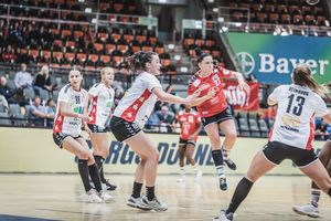 Die Handball-Elfen empfangen zum TV-Spiel den Buxtehuder SV. Foto: Dembinski
