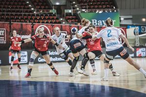 Die Handball-Elfen empfangen am Sonntag den HC Buchholz 08-Rosengarten. Foto: Dembinski