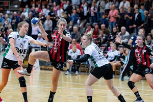Die Handball-Elfen fahren am Samstag nach Metzingen. Foto: Dembinski