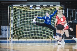 Die Handball-Elfen feierten gegen Mainz den siebten Heimsieg. Foto: Dembinski