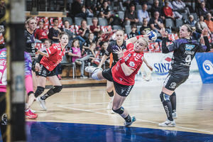 Die Handball-Elfen belohnten sich in Bensheim mit einem Sieg. Foto: Dembinski