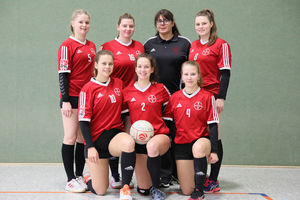 Die TSV-Faustballerinnen spielen auch in der kommenden Hallensaison in der 1. Bundesliga. Foto: Spille