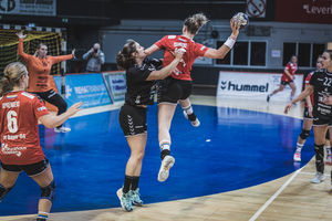 Die Handball-Elfen kehrten ohne Punkte aus Neckarsulm zurück. Foto: Dembinski